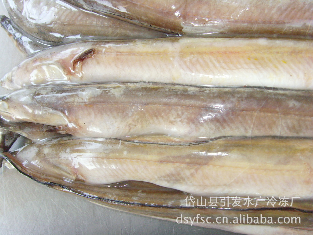 【圖】凍鰻魚/凍東海海鰻/凍小鰻_冷凍粗加工水產品_列表網