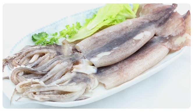 水產魷魚 冷凍粗加工水產品