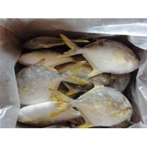 【廣州冷凍粗加工水產品】_廣州冷凍粗加工水產品價格_廣州冷凍粗加工水產品廠家