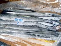 大連海參,海參加盟,遼參-大連參功夫海參2011年最給力的價格 冷凍粗加工水產品 找產品 太原 幫助所有企業做成網上的B2B生意