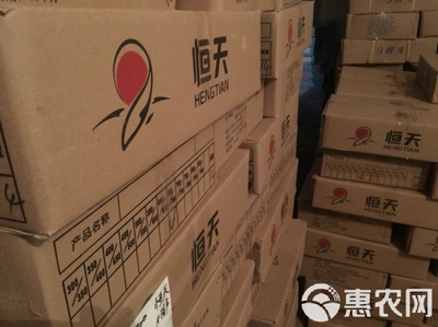 冷凍鱸魚 速鮮白蕉海鱸冰凍花鱸真鱸海鱸工廠原產(chǎn)地發(fā)貨