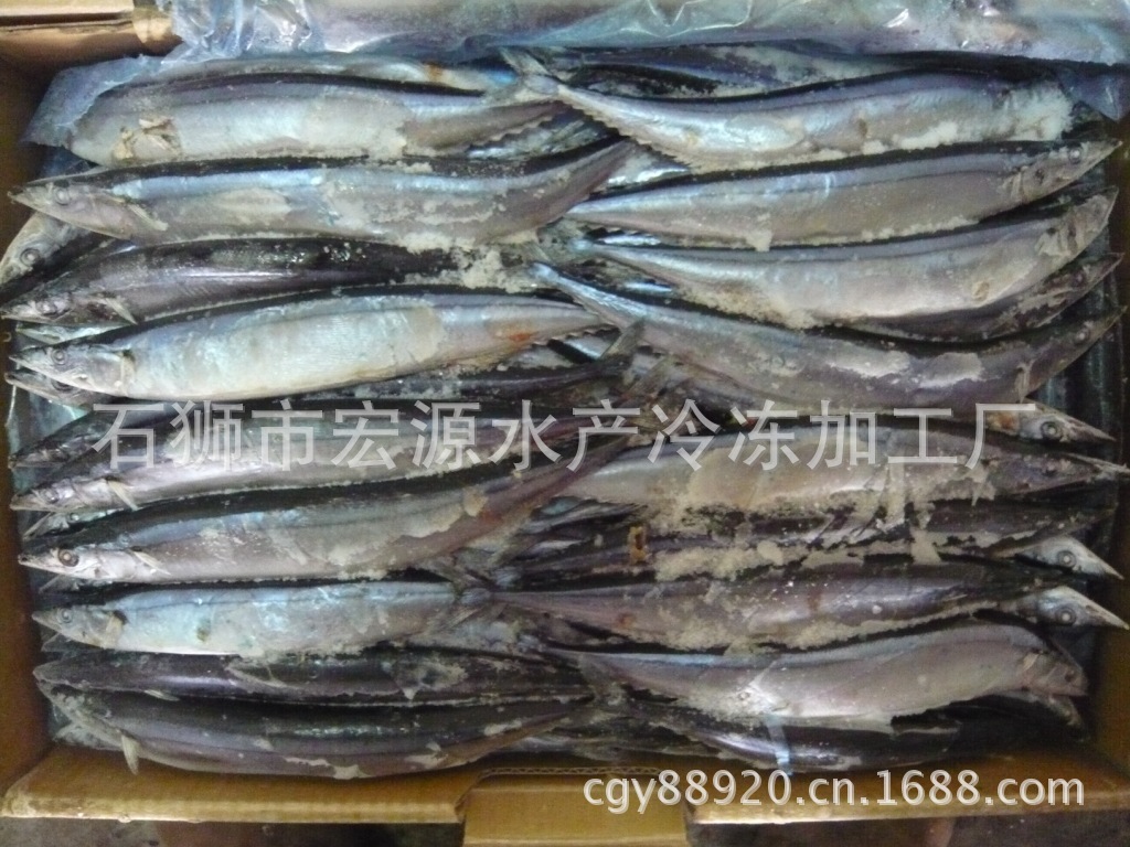 member's mark 冷凍遼參 500g.