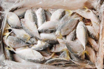 厄瓜多爾冷凍魚報關檢疫許可證/2022已更新(今日/發(fā)布)