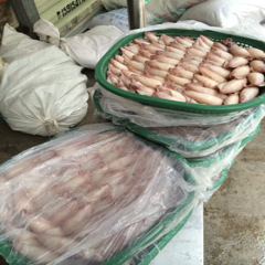 冷凍粗加工水產品-大量米魷批發-冷凍粗加工水產品盡在阿里巴巴-深圳市龍華新區龍華.