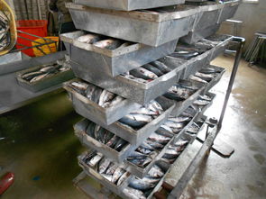 鮮活水產品 連江縣新興水產冷凍廠