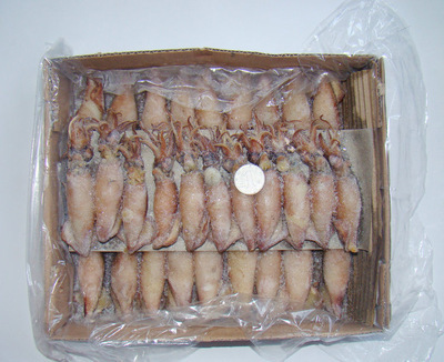 冷凍粗加工水產(chǎn)品-長(zhǎng)期供應(yīng) 冷凍粗加工水產(chǎn)品 熟凍糕魷魚 大量批發(fā)-冷凍粗加工水.