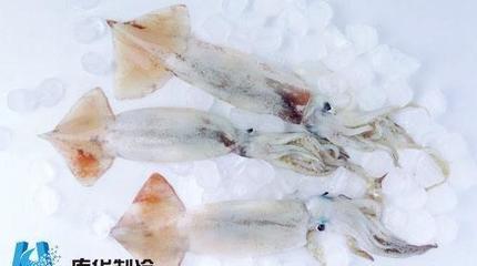 海鮮冷庫(kù)建設(shè)水產(chǎn)品貯藏