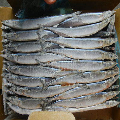 冷凍粗加工水產(chǎn)品-我司現(xiàn)有秋刀魚出售,有需要的客戶請(qǐng)與我們聯(lián)系-冷凍粗加工水產(chǎn)品.