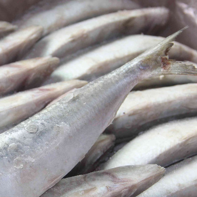 【供應(yīng)批發(fā)冷凍水產(chǎn)品加工 冷凍冰凍生鮮海產(chǎn)品 飼料魚】?jī)r(jià)格,廠家,圖片,動(dòng)物性飼料原料,石獅市萬(wàn)恒水產(chǎn)經(jīng)營(yíng)部-