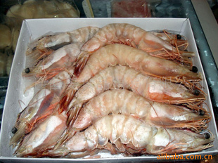 【澳洲明蝦】 600(g) 720(天) 澳大利亞 大連 冷凍粗加工水產(chǎn)品 價(jià)格 批發(fā)_