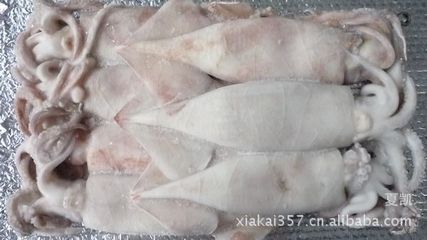 冷凍粗加工水產(chǎn)品-優(yōu)價供應高品質(zhì)海鮮大禮包 榮御禮品裝 量大從優(yōu)-冷凍粗加工水產(chǎn).