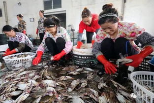 開海了 想買最新鮮 地道的海鮮,老連云港人都來這里