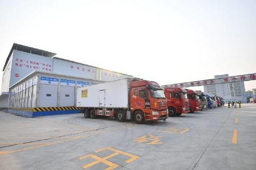 筑牢 外防輸入 防線 鄭州進口冷鏈食品集中監管倉正式啟用