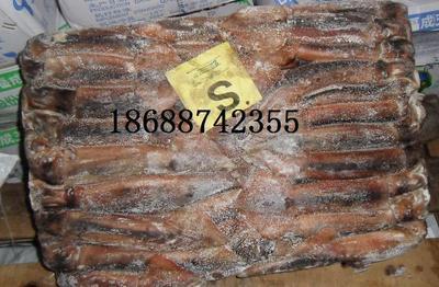 魷魚價格_魷魚_廣東深圳市魷魚生產供應商_冷凍粗加工水產品盡在搜了網