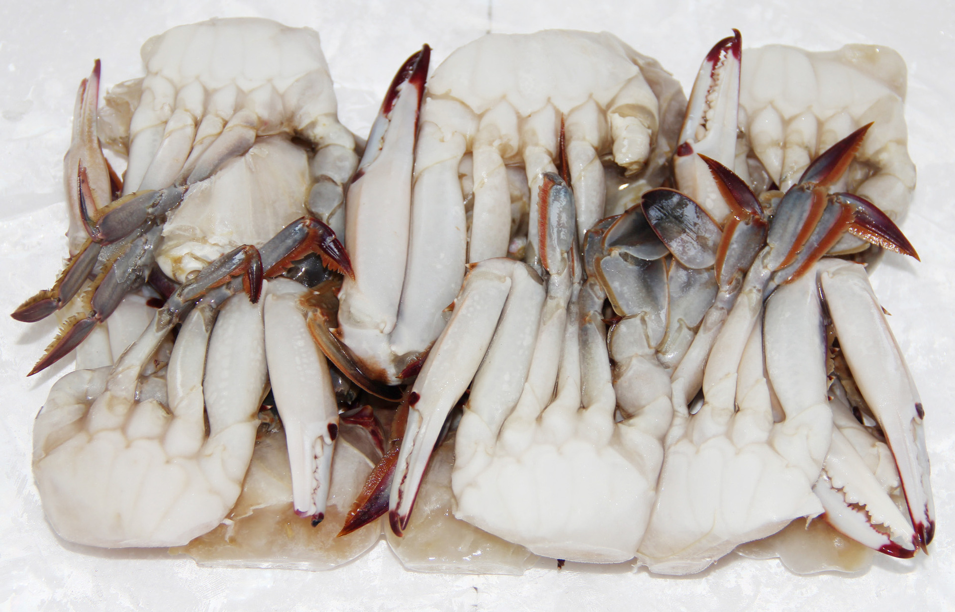 切蟹L/批發冷凍粗加工水產品梭子蟹冷凍海產海鮮螃蟹 蟹