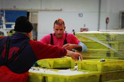 干貨!國際食品加工展覽會推薦「2019-2022年」