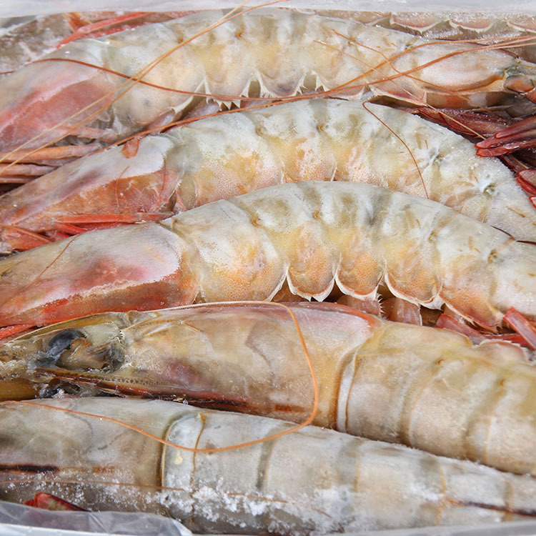 印度2.5kgx2盒裝連頭南美白蝦-冷凍粗加工水產品