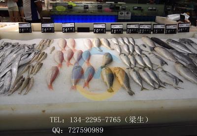 12噸片冰機 漁港海灣水產冷凍加工 肉類保鮮淡水片冰機