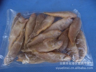 冷凍粗加工水產(chǎn)品-小黃花-冷凍粗加工水產(chǎn)品盡在阿里巴巴-日照市東港區(qū)鑫鵬冷藏廠