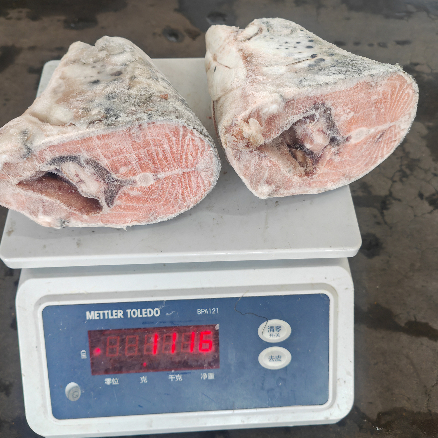 三文魚魚頭加工處理冷凍批發(fā)煲湯剁椒魚頭食材海鮮水產(chǎn)餐飲食材