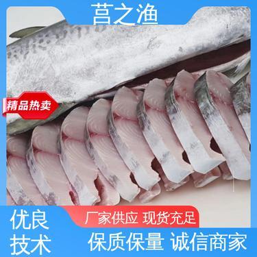 海水魚苗品種大全