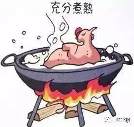 加工制作食物應(yīng)注意哪些事項(xiàng)