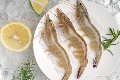 展商推薦 你吃的蝦 60 可能來自于這里