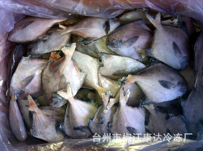 【批發(fā)供應(yīng)水產(chǎn)品粗加工 優(yōu)質(zhì)鰳魚粗加工 貨真價(jià)實(shí)】?jī)r(jià)格,廠家,圖片,鮮活/冷凍水產(chǎn),臺(tái)州市椒江康達(dá)冷凍廠-