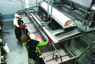 石獅伏季休漁結(jié)束 水產(chǎn)品加工企業(yè)一片繁忙 圖