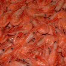 冷凍粗加工水產(chǎn)品_冷凍粗加工水產(chǎn)品