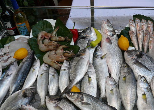 廣州暫停進(jìn)口疫區(qū)冷凍肉制品和水產(chǎn)品