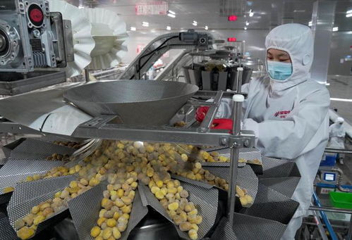 河北遵化 發(fā)展農(nóng)產(chǎn)品深加工助力鄉(xiāng)村振興