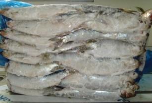 【冷凍鱈魚 銀魚 章魚 鯧魚 】價(jià)格,廠家,冷凍粗加工水產(chǎn)品