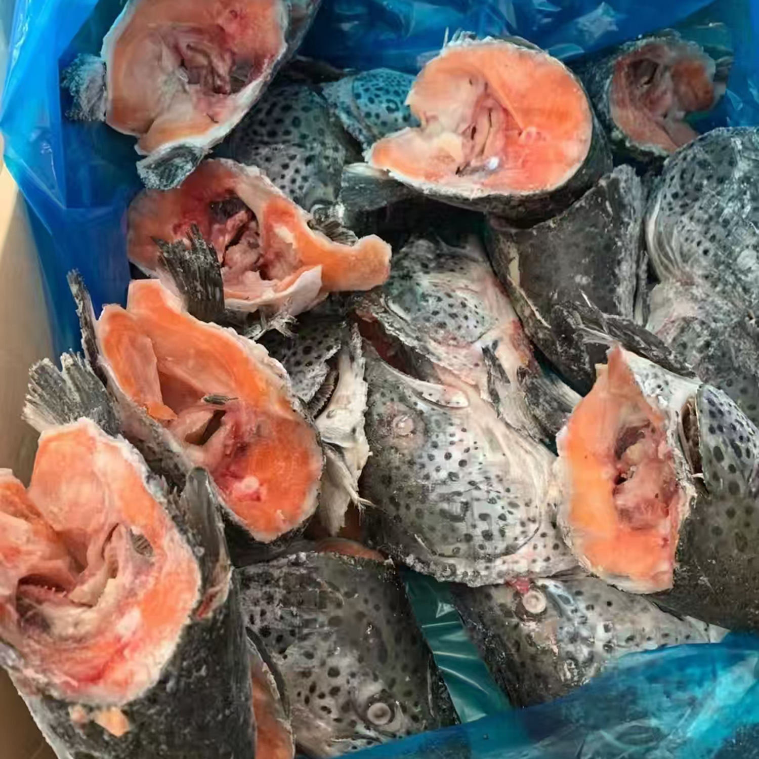 三文魚魚頭加工處理冷凍批發(fā)煲湯剁椒魚頭食材海鮮水產(chǎn)餐飲食材