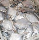 冷凍粗加工水產(chǎn)品-廠家低價(jià)直銷鯧魚 冷凍海珍品-冷凍粗加工水產(chǎn)品盡在阿里巴巴-.