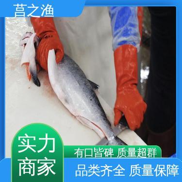 鮭魚多少錢一斤市場價(jià)格