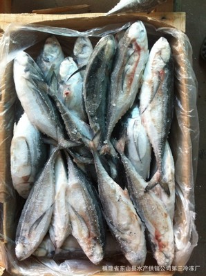 甲魚-俄羅斯野生甲魚采購平臺求購產(chǎn)品詳情