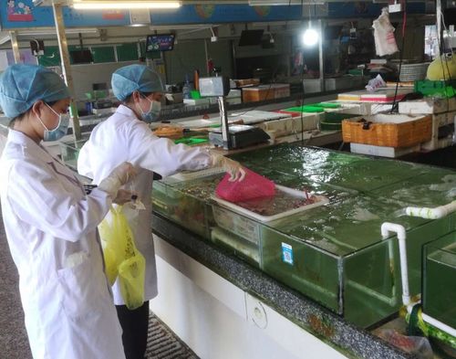 珠海金灣水產品和冷凍肉類等重點食品核酸檢測結果出爐