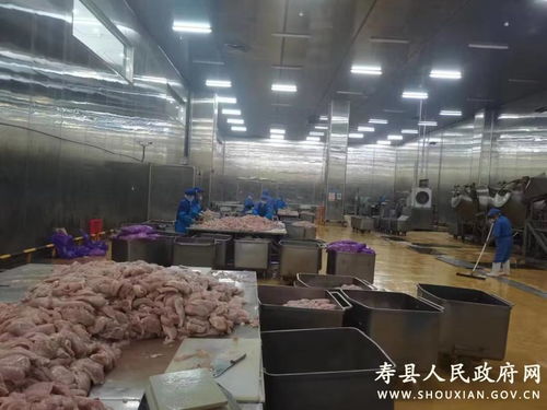 安徽壽縣 建農產品加工產業園 助力鄉村高質量發展