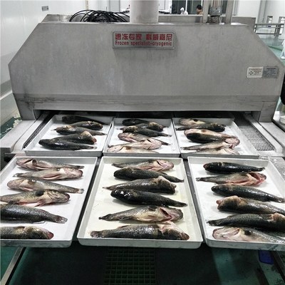 液氮速凍機瞬間鎖鮮水產海鮮沙丁魚鯧魚魷魚