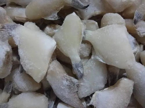 這種長得像老鼠的魚,憑什么風靡川渝