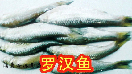 【專業批發 純天然 美味 綠島食品 羅漢魚】價格,廠家,圖片,鮮活/冷凍水產,蘇州市相城區黃橋洪潤滿意冷凍食品加工廠-