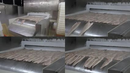 漁業水產海鮮速凍加工生產設備海鮮加工_1920X1080_高清視頻素材下載(編號:2754459)_實拍視頻