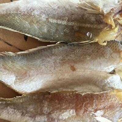 山東特產冷凍加工小黃魚 新鮮水產海鮮小黃魚直銷 日照冷凍海鮮