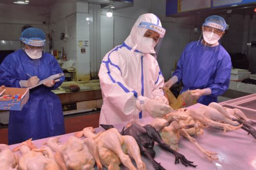 農貿市場 商超新冠病毒監測全面啟動