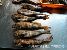 出口俄羅斯_冷凍粗加工水產品_出口俄羅斯批發_出口俄羅斯供應_阿里巴巴