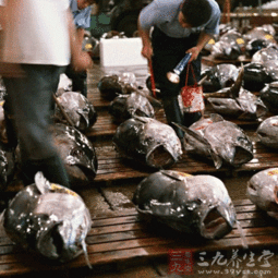 煙臺檢驗檢疫局扶持轄區遠洋自捕水產品產業