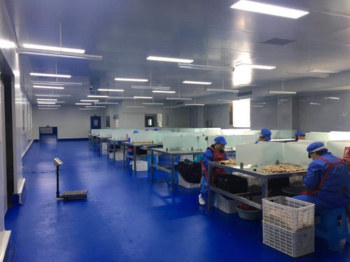 食品加工廠招聘化驗員