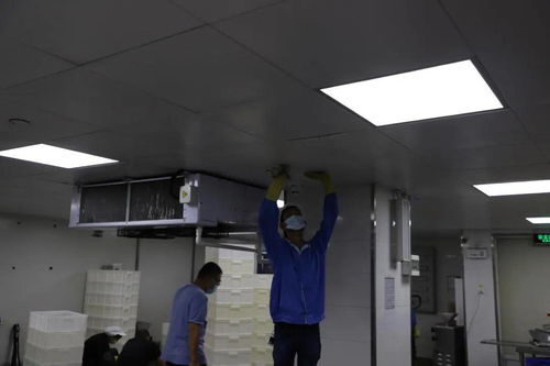 汕頭高新區防控指揮部聯合開展專項進口冷凍食品檢查行動