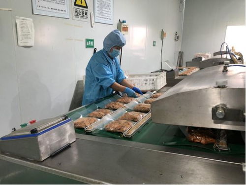 十項行動見行見效丨這樣的餐桌 無肉也歡